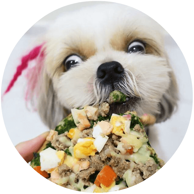 Barking Good - Human-grade Ingredients