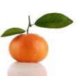 Brewers Barn Tangerine Wine Recipe