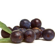 Brewers Barn Sloe Gin Recipe