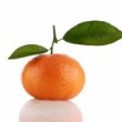 Brewers Barn Orange Wine Recipe