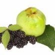 Brewers Barn Apple and Blackberry Wine Recipe
