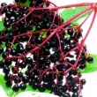 Brewers Barn Elderberry Wine Recipe
