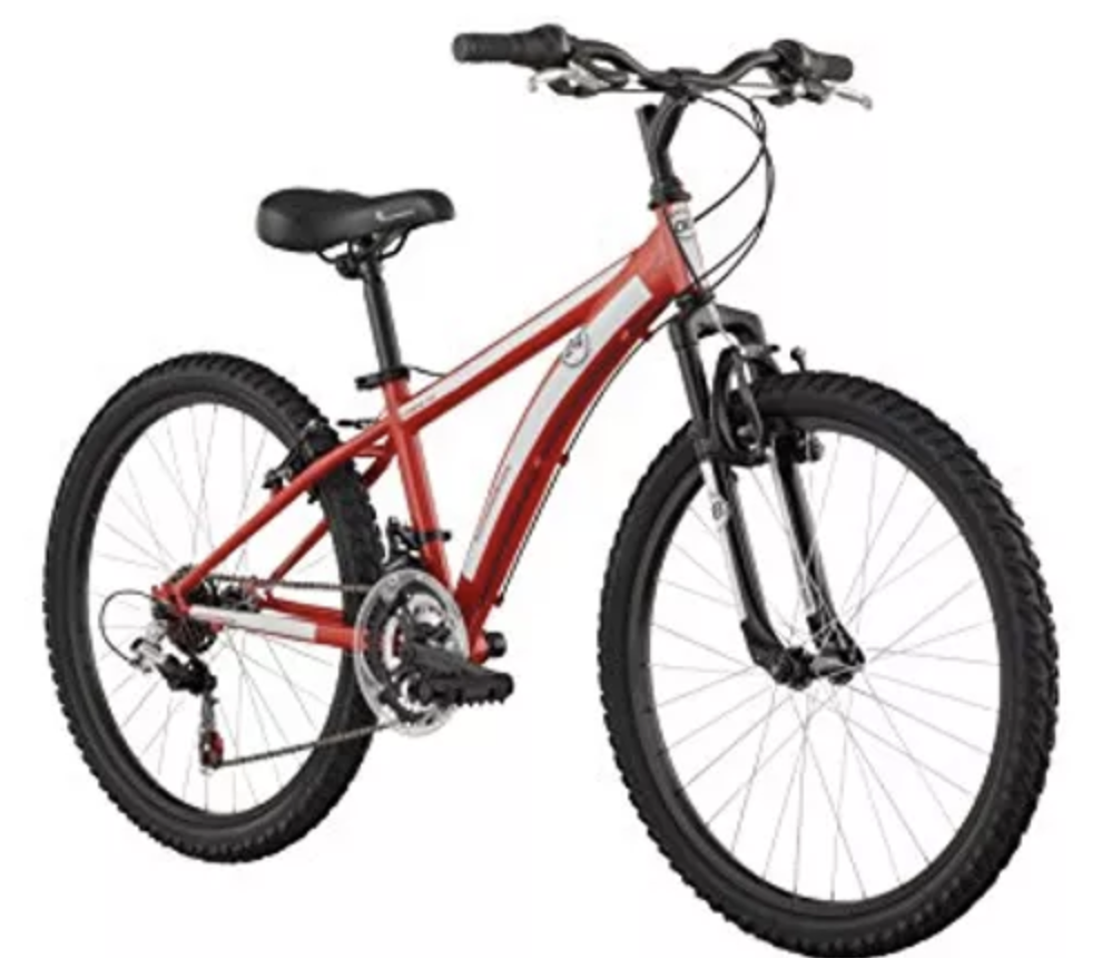 Kids Bike Rental Dunedin