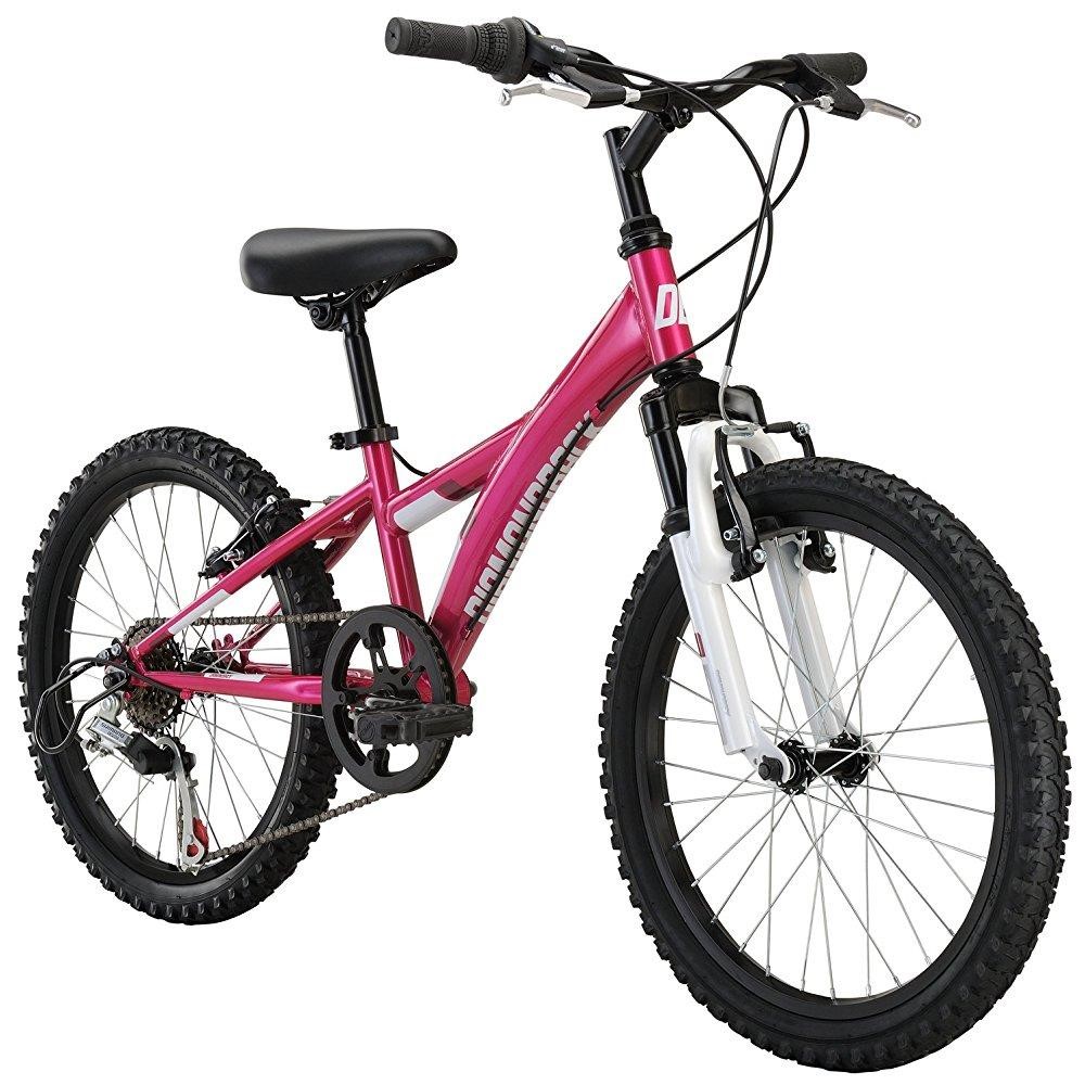 Dunedin Kids Bike Rental