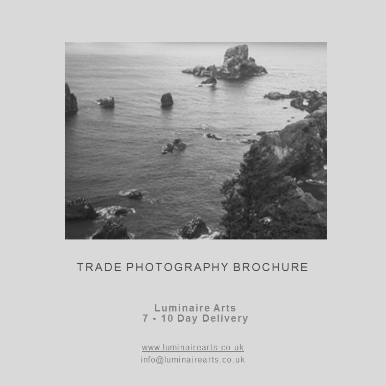 Photography Curated 2020