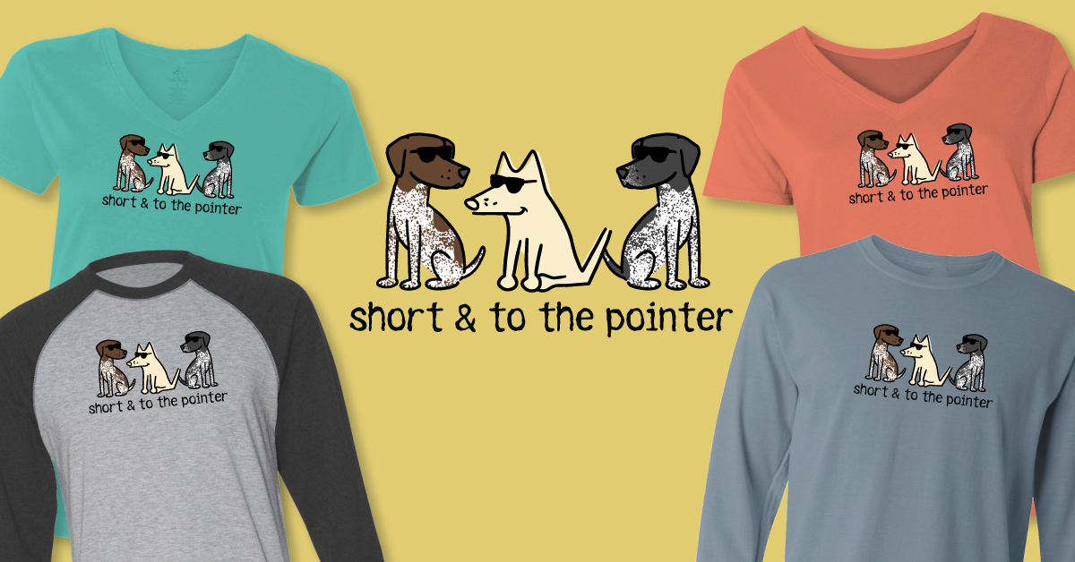 pick of the litter 101 teddy the dog short and to the pointer